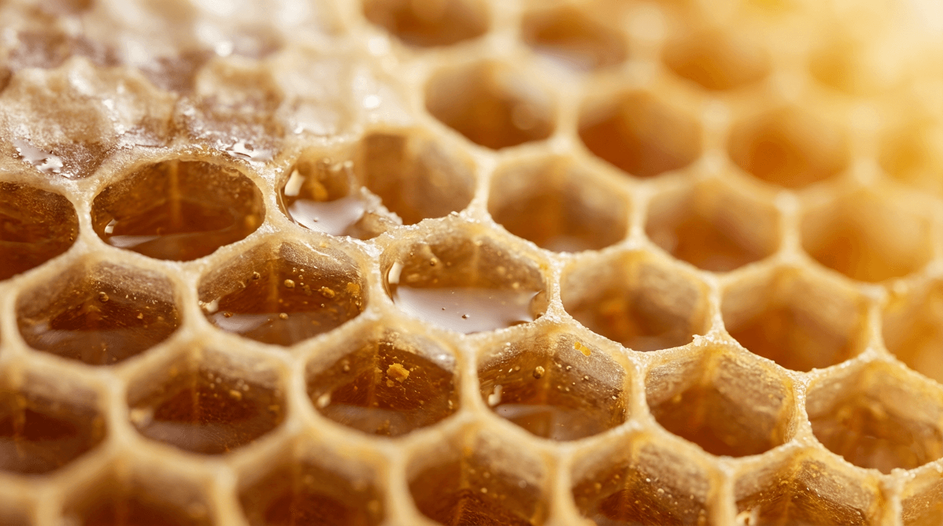 Beekeeper holding a honeycomb frame with bees in a sunlit apiary